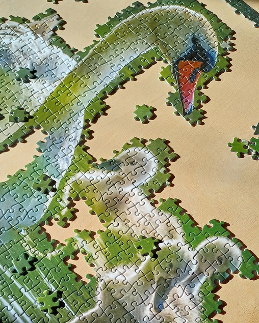 Puzzle 1000 TACTIC Lovers: Łabędź na Jeziorze z Dziećmi