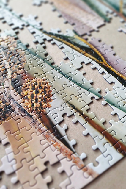 Tactic Puzzle 500 el. Lifestyle Liście Eukaliptusa