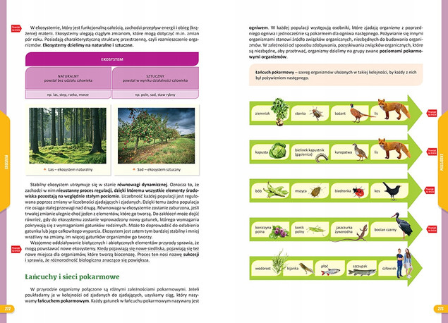 Nowe Repetytorium Szkoła Podstawowa BIOLOGIA 2024-2026 Greg