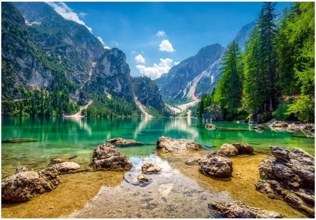 Puzzle 1000 Układanka Krajobraz Widok Góry Las JEZIORO 9+ Castor