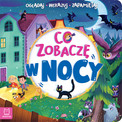 Co zobaczę w nocy? – Sylwia Kajdana