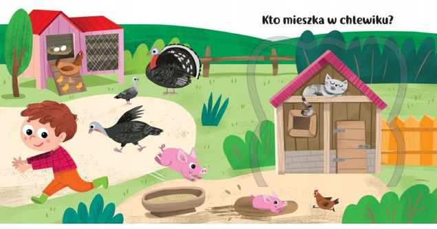 Książeczka Z Okienkami Co Kryją Okienka? W Lesie 0+ Aksjomat 3637