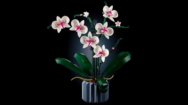 Lego ICONS Orchidea 10311 