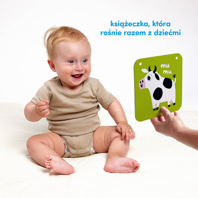 Duże Karty Kontrastowe CzuCzu