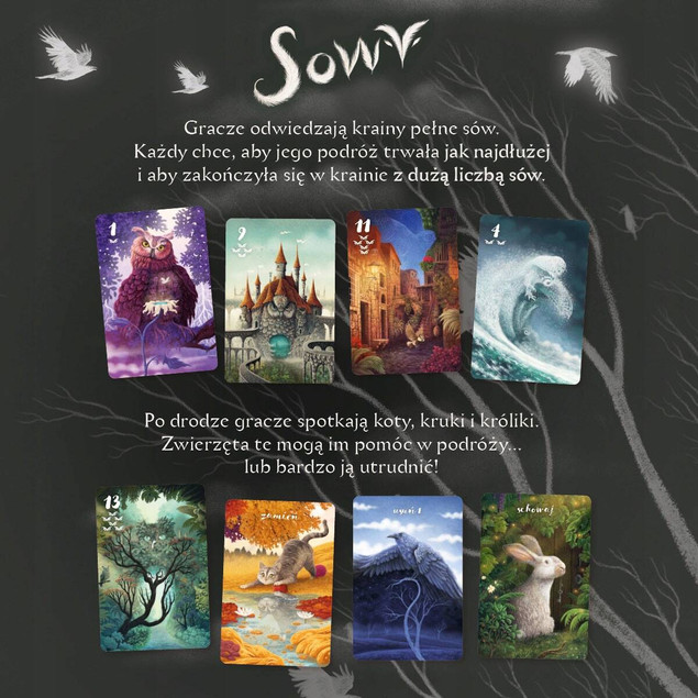 Sowy Gra Karciana Tworzenie Snów Krainy 6+ Nasza Księgarnia