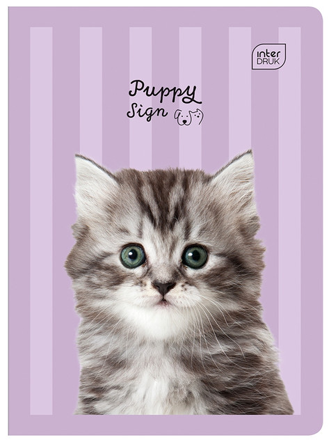 Zeszyt A5 16 kartkowy trzylinia kolorowa pieski kotki Puppy Sign Interdruk