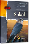 Sokół Giovanni Boccaccio lektury z opracowaniem