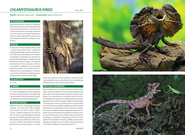 Atlas GADÓW Hodowlanych 100 Gatunków Jaszczurki Żółwie Krokodylowe SBM