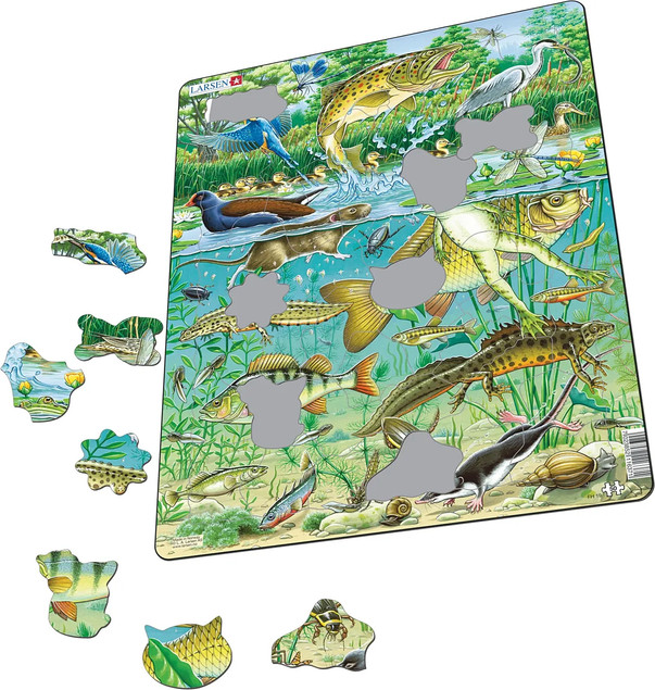 Puzzle Larsen 50 el. Maxi Vijver Junior: Ekosystem Stawu