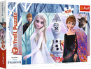 Puzzle 100 Układanka Frozen KRAINA LODU Zaczarowana Elsa Ana Bajka 5+ Trefl