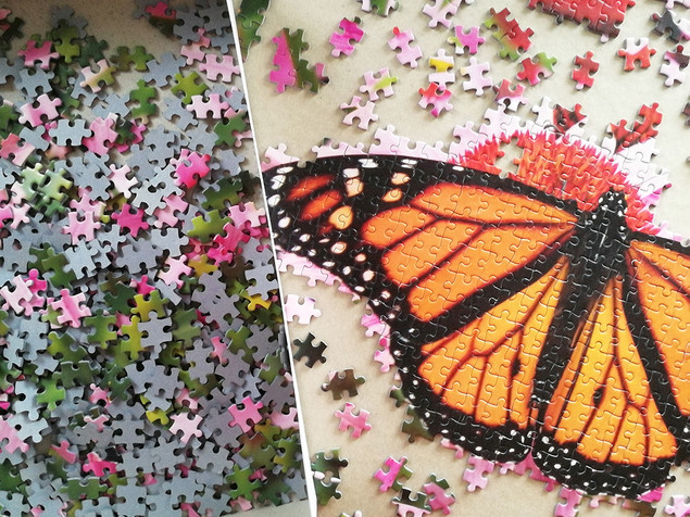 Puzzle Tactic 1000 el. Monarch Butterfly - Motyl Monarcha, Fińska Jakość