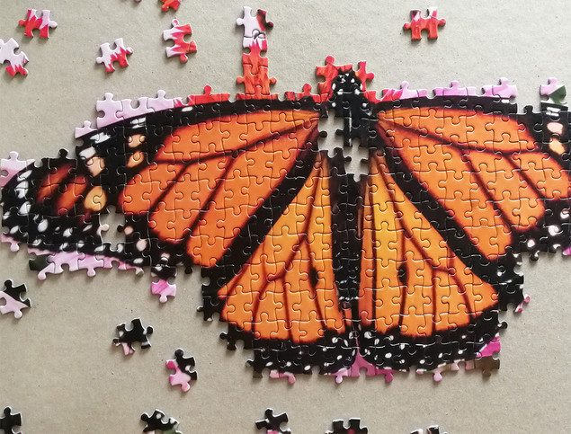 Puzzle Tactic 1000 el. Monarch Butterfly - Motyl Monarcha, Fińska Jakość