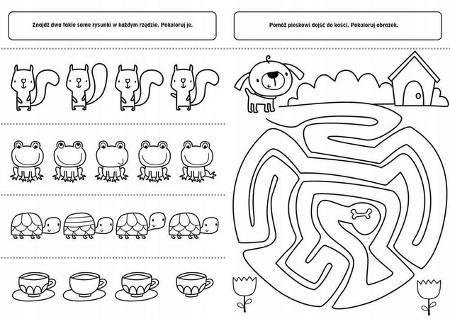 Zabawa Edukacyjna QUIZY I ŁAMIGŁÓWKI Z Naklejkami 3+ BooksAndFun