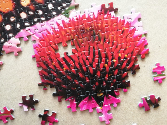 Puzzle Tactic 1000 el. Monarch Butterfly - Motyl Monarcha, Fińska Jakość