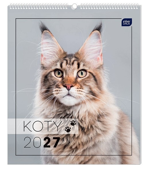 Kalendarz ścienny 2027 planszowy Koty INTERDRUK