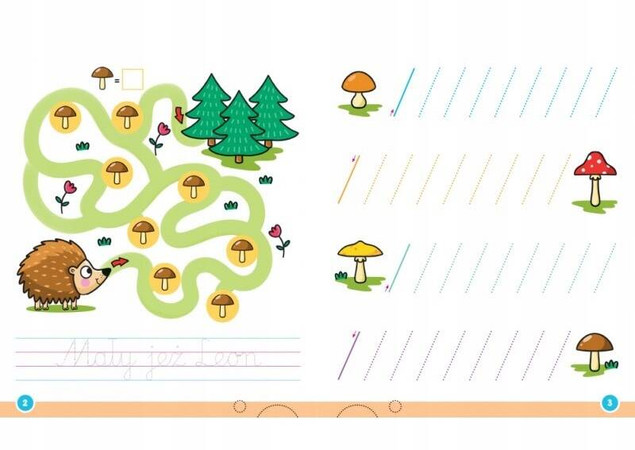 Piszę i rysuję z kotkiem. Labirynty, szlaczki, rysowanki. Ścieralny pisak