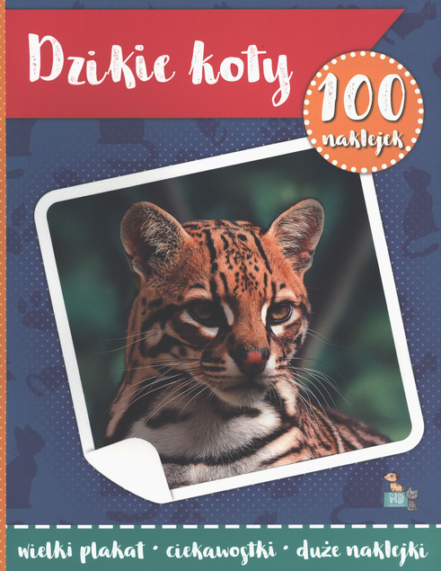 100 naklejek z plakatem. Dzikie koty Małgorzata Ewa Skibińska