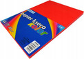 Papier biurowy Schemat format A4 80g 100 arkuszy