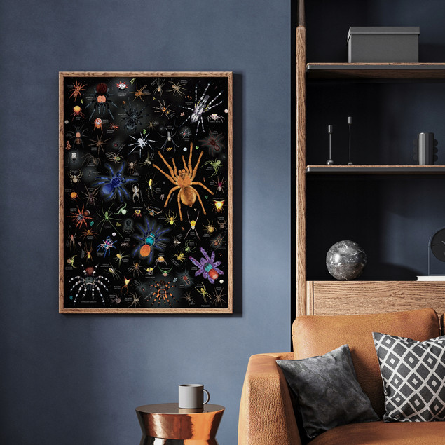Puzzlove CzuCzu Pająki Puzzle 1000 elementów | Dla Dorosłych i Rodzin