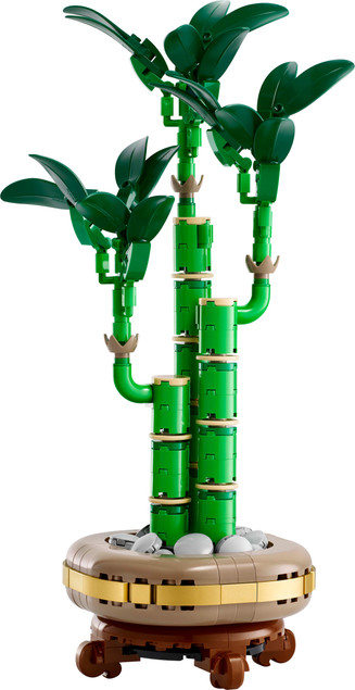 LEGO Botanicals 10344 Bambus Szczęścia – Model Dekoracyjny dla Dorosłych