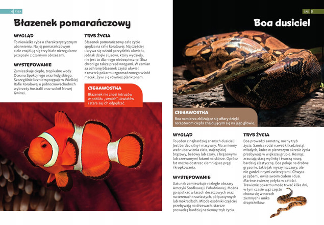 Encyklopedia ZWIERZĄT Dla Dzieci SBM