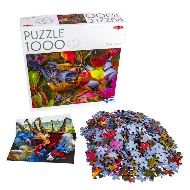 Puzzle 1000 Robin w jesiennych liściach Tactic