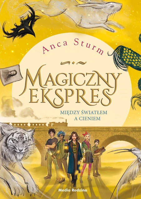Między światłem a cieniem Anca Sturm