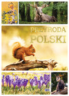 Przyroda Polski Praca zbiorowa