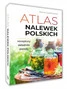 Atlas nalewek Polskich