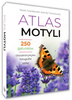 Atlas Motyli 250 GATUNKÓW Fotografie Opisy Jacek Twardowski TW SBM