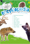 Mała Encyklopedia Zwierzęta Leśne Fakty Ciekawostki M. Ślizowska 5+ Skrzat