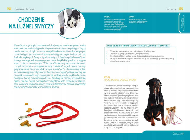 SZKOLENIE PSA Jak Wychować Idealnego Pupila Anna Iglikowska SBM