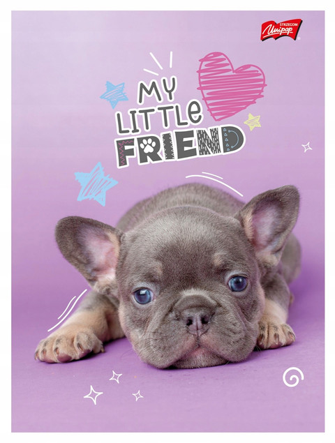 My Little Friend zeszyt A5 32 kartki