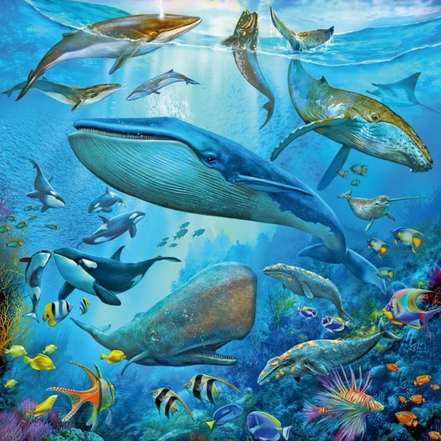 Puzzle Ravensburger Podwodne życie 3x49 elementów dla dzieci 5+ (147 el.)