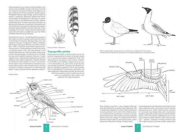 Atlas Ptaków 250 Polskich Gatunków Fotografie Opisy Tabele D. Marchowski