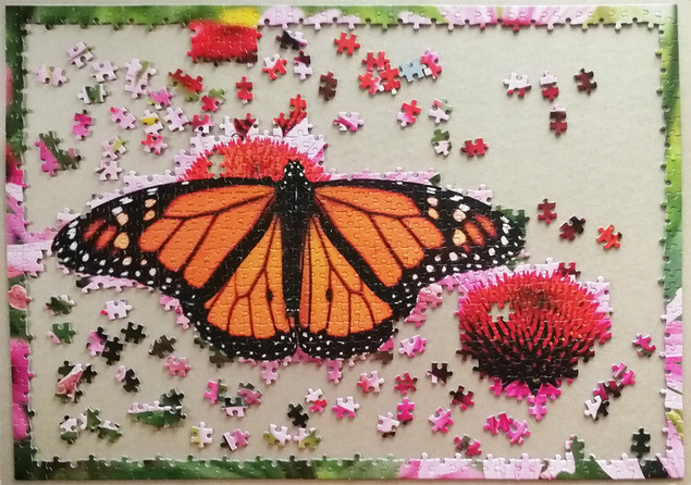 Puzzle Tactic 1000 el. Monarch Butterfly - Motyl Monarcha, Fińska Jakość