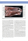 Anatomia zwierząt domowych Kolorowy atlas Norbert Pospieszny wyd. Galaktyka
