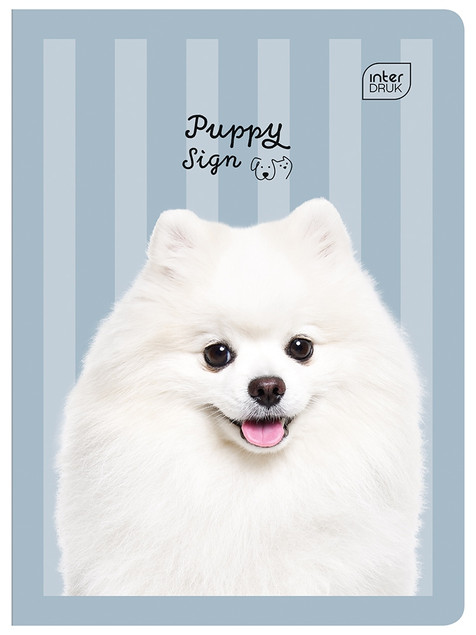 Zeszyt A5 16 kartkowy trzylinia kolorowa pieski kotki Puppy Sign Interdruk
