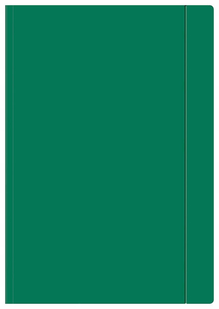 Teczka Z Gumką Szkolna Na Dokumenty A4 Zielona 1 Szt. Interdruk