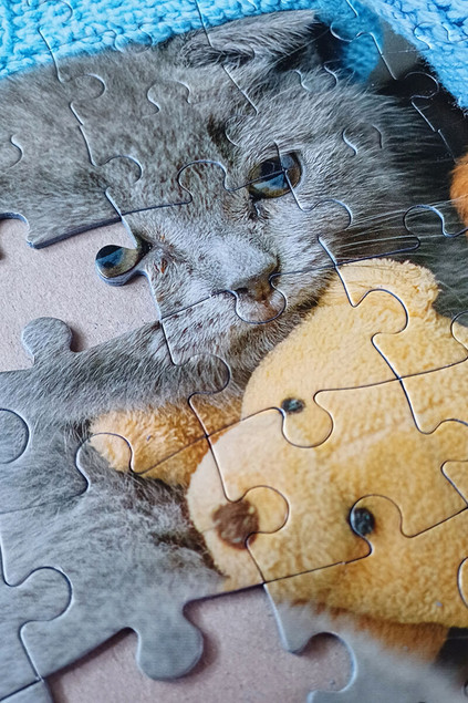 Puzzle 100 el. Tactic Słodki Kiciuś i Śpiący Piesek