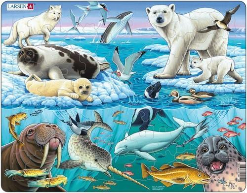 Puzzle Larsen 75 elementów Arktyczny Lód M Układanka Edukacyjna