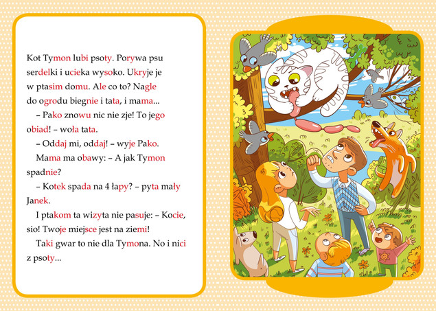 Moje Czytanie SYLABOWE Książeczka Edukacyjna Monika Ślizowska 6+ Skrzat