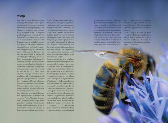 Atlas PSZCZELARZA Hodowla Kalendarz Prac Miód SBM