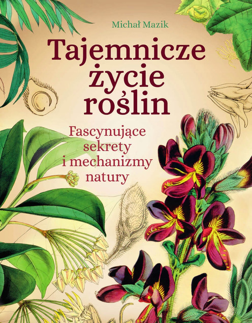 Tajemnicze życie roślin. Sekrety i mechanizmy natury - Michał Mazik