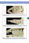 Anatomia zwierząt domowych Kolorowy atlas Norbert Pospieszny wyd. Galaktyka