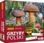 Grzyby Polski