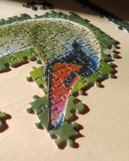 Puzzle 1000 TACTIC Lovers: Łabędź na Jeziorze z Dziećmi