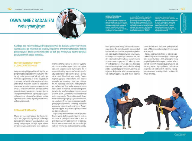 SZKOLENIE PSA Jak Wychować Idealnego Pupila Anna Iglikowska SBM