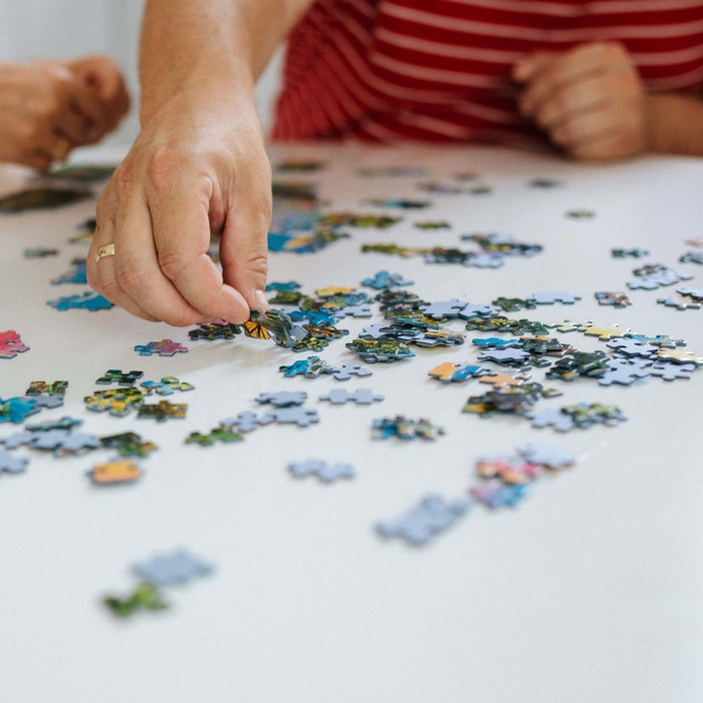 Puzzle 1000 Układanka Widok Krajobraz DOM Wieś Las Jezioro 12+ Trefl