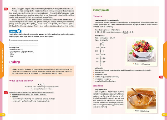 Nowe Repetytorium - szkoła podstawowa. Geografia - 2026